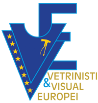 Vetrinisti & Visual Europei